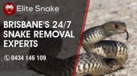 Brisbane Snake Catchers image 9
